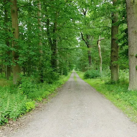 Forest Retreat Near Berlin, Cleaning Included Appartement Fürstenwalde